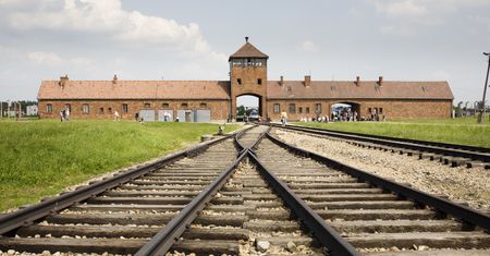 Nauczyciele z USA przyjechali do Polski. Jeden cel, słowa rozdzierają. "Ból serca"