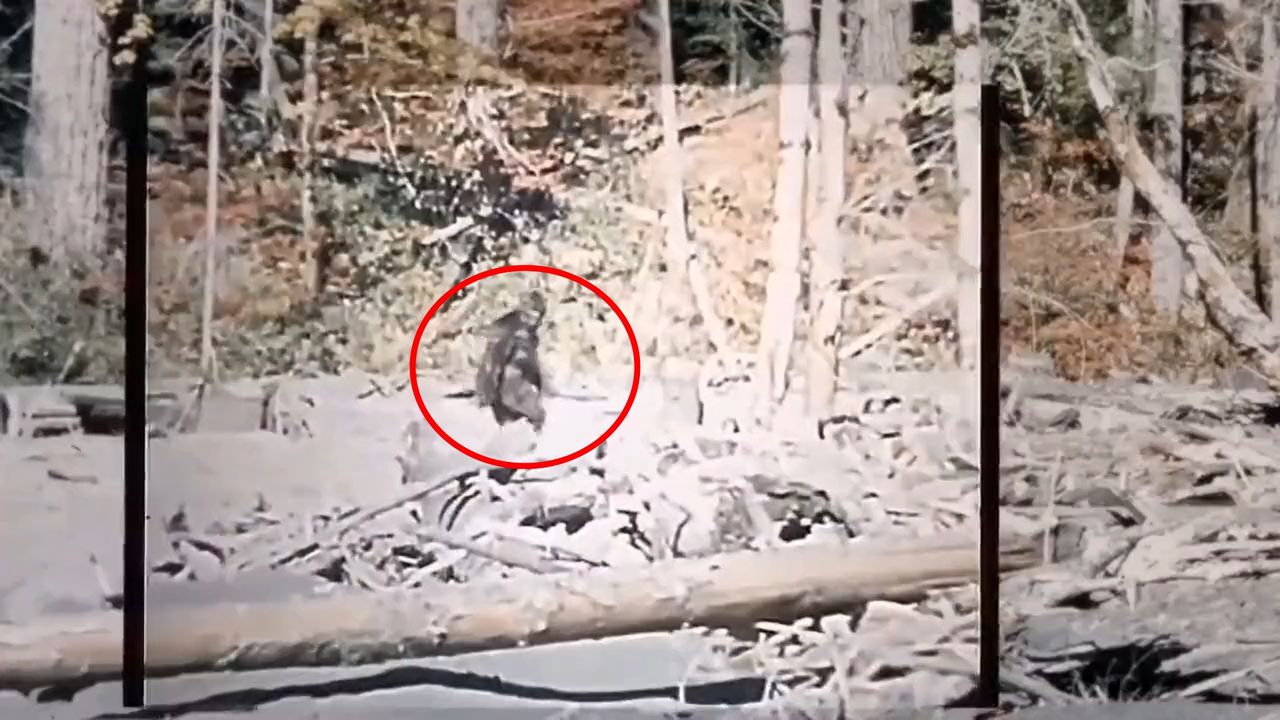 AI improved the quality of a recording that allegedly shows "Bigfoot."