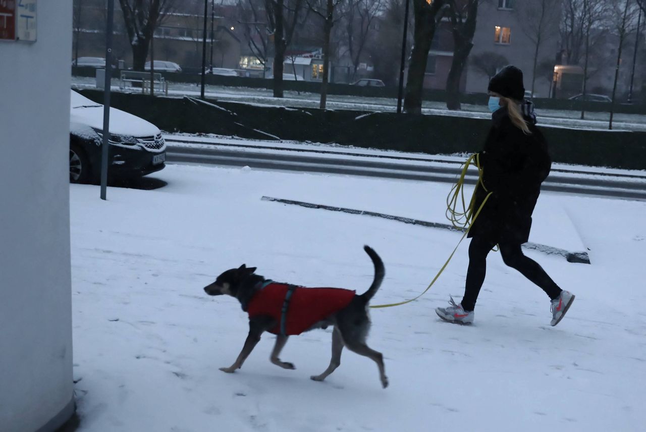 Pogoda w Warszawie w środę 13 stycznia. Zachmurzenie i śnieg