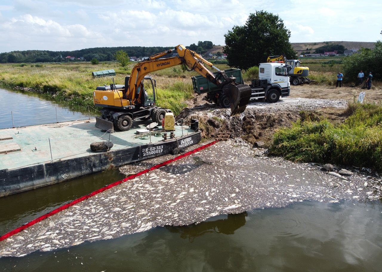 Nowe informacje o Odrze. "Zebrano 10 ton śniętej ryby"