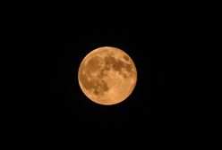 Truskawkowy Księżyc. Wyjątkowa pełnia Księżyca 2020