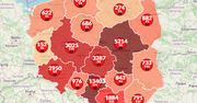 Koronawirus w Polsce. Mapa pokazuje, gdzie odnotowano najwięcej zarażeń