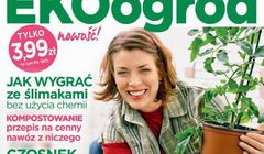 „Ekoogród” nowym kwartalnikiem Burdy, naczelnym Grzegorz Pawlik