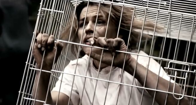 „XI. Nie porzucaj” - Natasza Urbańska, Rafał Maślak, Kamila Szczawińska i Sylwia Nowak w akcji przeciw porzucaniu zwierząt (wideo)