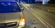 Pijany pieszy przebiegał pomiędzy przystankami w miejscu niedozwolonym. Został potrącony