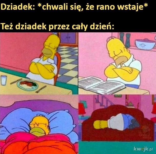 Dzień Babci i Dziadka memy