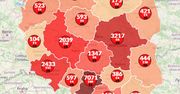 Koronawirus w Polsce. Mapa zakażeń pokazuje najnowsze dane. Już blisko 1000 ofiar w kraju