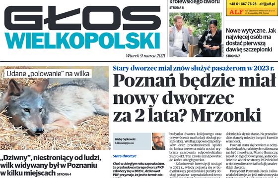 Jest decyzja prokuratury ws. wypadku, w którym zginęła dziennikarka