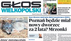 Jest decyzja prokuratury ws. wypadku, w którym zginęła dziennikarka