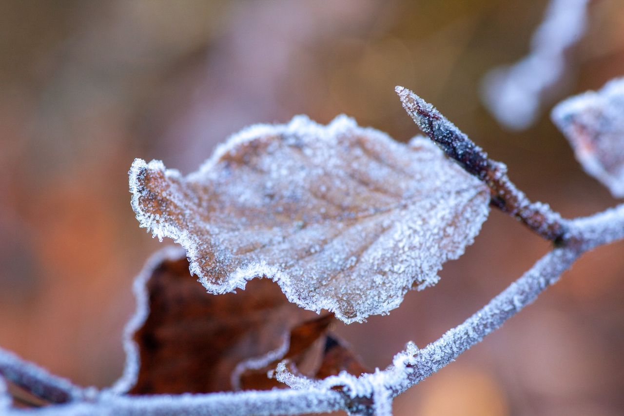 Ostrzeżenie meteorologiczne przed gołoledzią