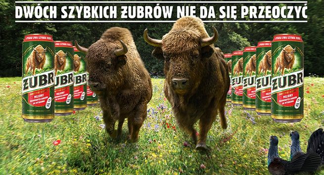 11 mln puszek piwa Żubr w promocji „Dwa szybkie Żubry” (wideo)