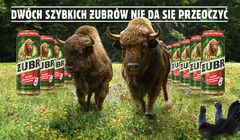 11 mln puszek piwa Żubr w promocji „Dwa szybkie Żubry” (wideo)