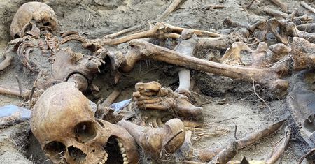 Warszawa. Znów ponure żniwo w "Toledo". IPN odnalazł szczątki kolejnych czterech osób