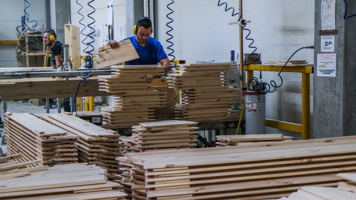 WAGROWIEC, POLAND - DECEMBER 11: A worker chooses pieces of wood for a machine to assemble coffins inside the Lindner coffin maker factory on December 11, 2020 in Wagrowiec, Poland. The company, Poland's largest coffin maker and exporter for Western Europe (Germany, Netherlands, Denmark, Belgium, France, UK) who produces an average of 16000 coffins a month, reported a 2-percent rise in production over the previous year.  During the first wave of the coronavirus, Lindner reports a disruption on the annual rhythm of the business. Customers were afraid of closing the borders in March and it was also difficult for them to estimate how many coffins they would need, so they ordered "in advance". As increasing the production in a few days is not possible due to logistics, the waiting time for delivery of coffins increased from 3 to 8 weeks. It should also be noted that this year, customers ordered more cheaper coffins often used for cremation. Lindner, apart of being a role model of Polish coffin makers, also contributes for cultural events in the region, publishes his annual calendar merging the coffin business with artistic fashion photoshoots and develops ecologic paths for a more sustainable path for the industry. (Photo by Omar Marques/Getty Images)