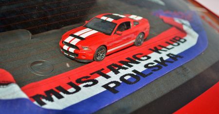VII Ogólnopolski Zlot Mustangów | Toruń 25.04.2015