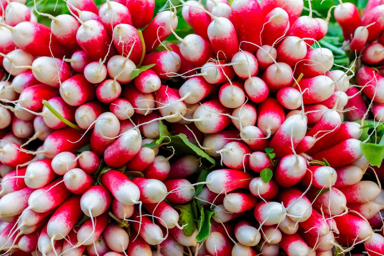 Jak rzodkiewka wpływa na organizm?