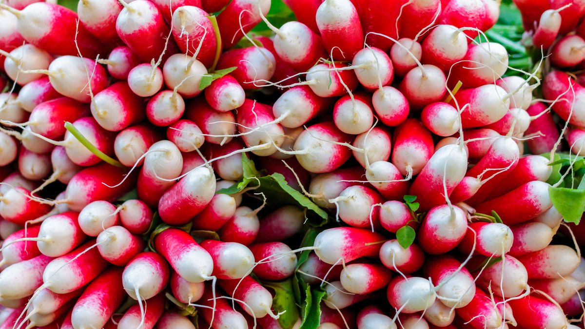 Jak rzodkiewka wpływa na organizm?