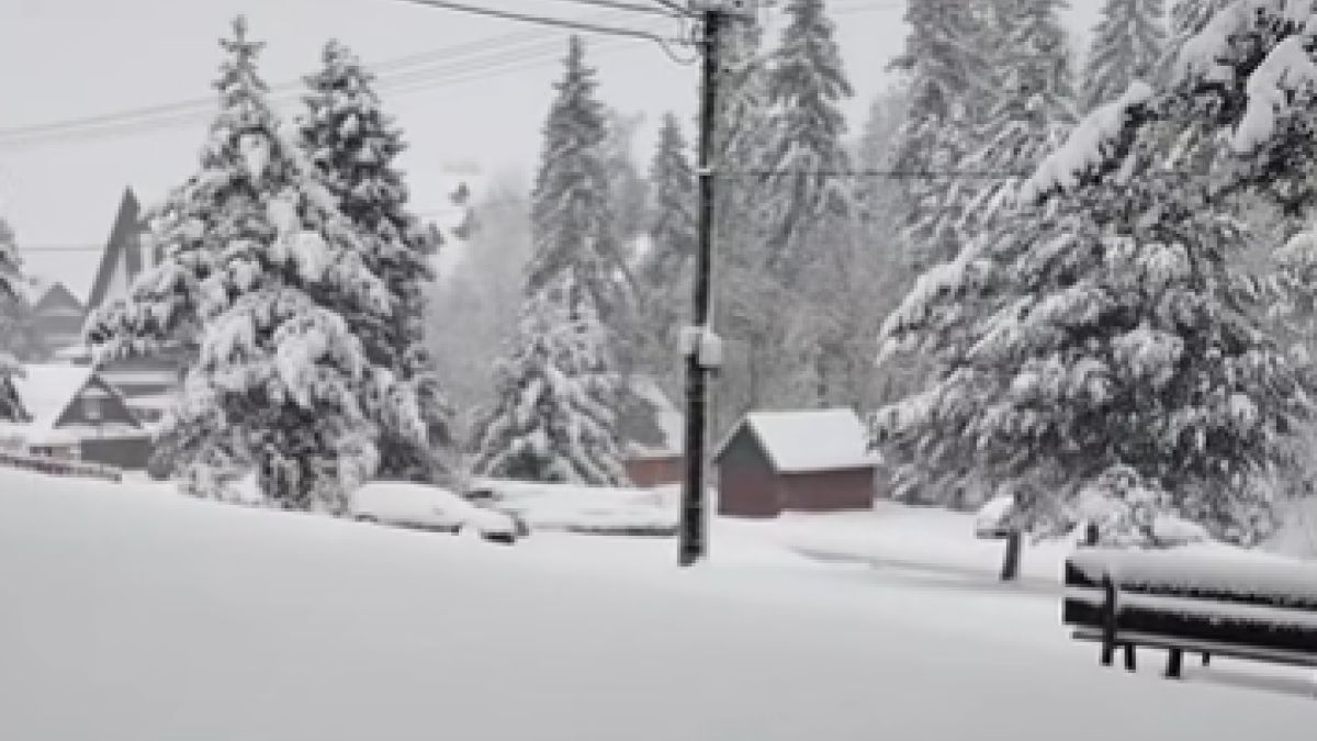 Śnieżny krajobraz w miejscowości Zdziar