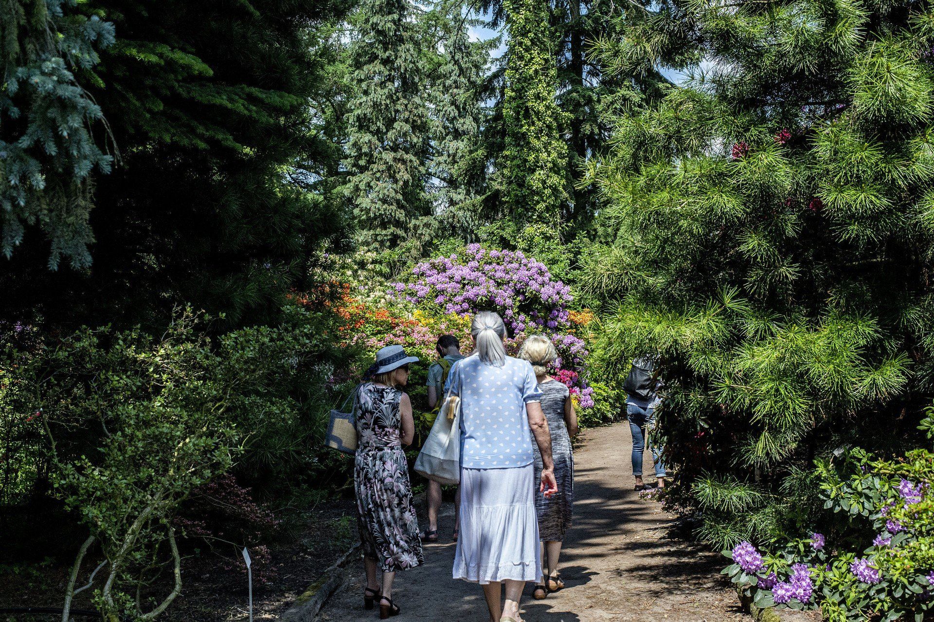 Spacer alejkami kórnickiego arboretum