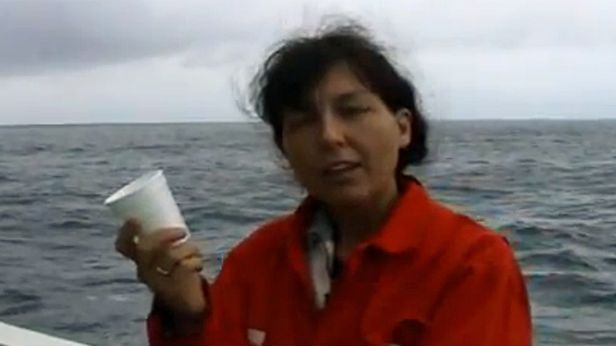 WTF dnia: co się dzieje ze styropianowym kubkiem po wyprawie w głąb oceanu? 1