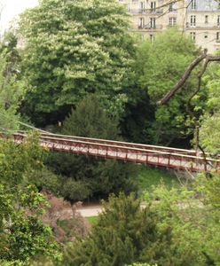 Makabra w walentynki. Znaleziono odciętą głowę kobiety