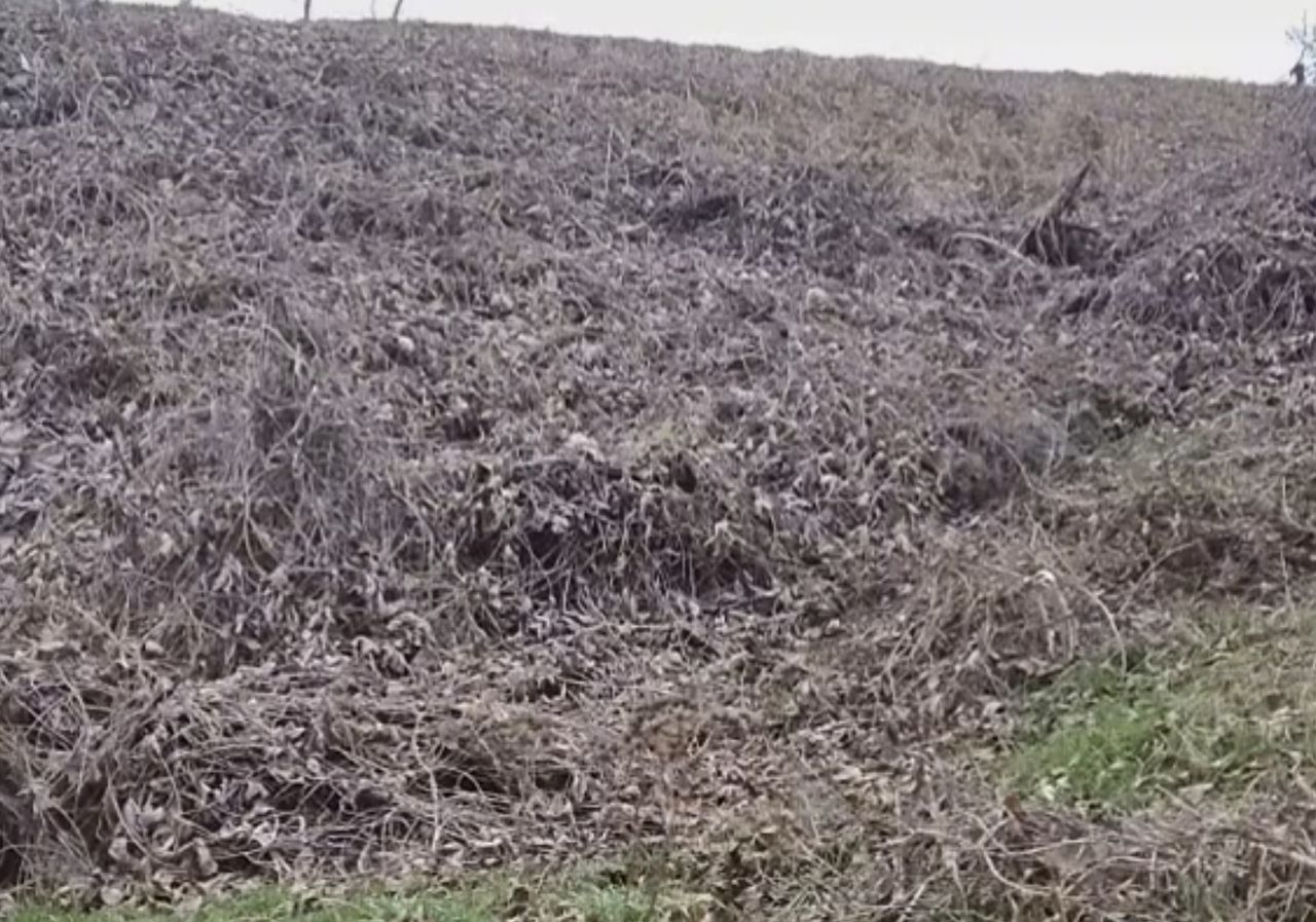 Wytęż wzrok i poszukaj snajpera. Nie, to wcale nie jest ta maleńka postać z prawego górnego rogu zdjęcia (Tik Tok)