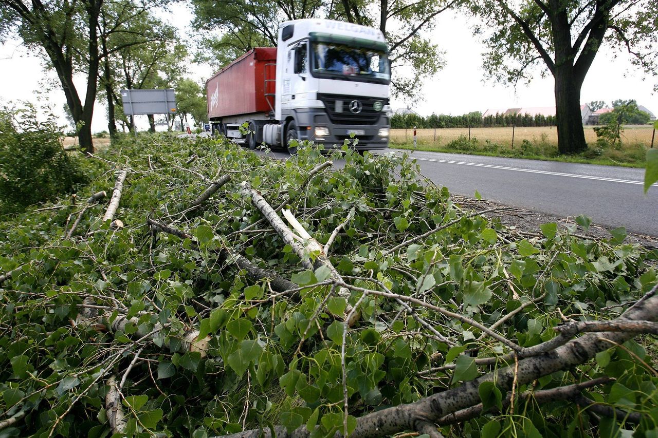 Sytuacja meteorologiczna w Łodzi i województwie. Interwencje strażaków