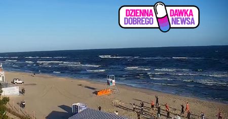 Była godz. 6:40. To nie fotomontaż. Kamery nagrały ich w Krynicy Morskiej