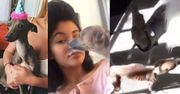 Milionerka Kylie Jenner GŁODZI PSY...? Widać im wszystkie żebra!
