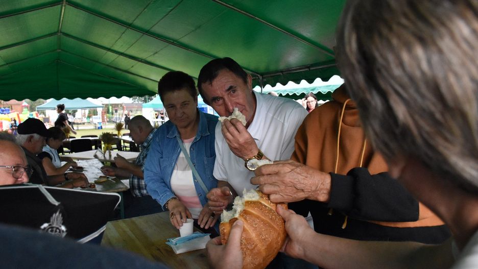 Wirtualna Polska