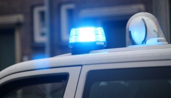 Odgłosy z krzaków. Holendrzy nakryli Polaków. Był środek nocy