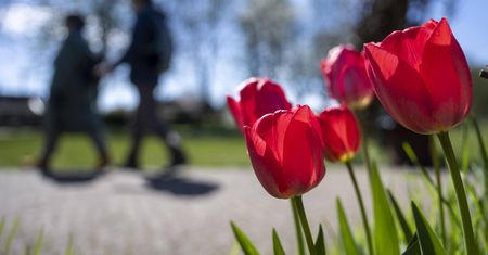 Pogoda na weekend: słońce, chmury i miejscami przelotny deszcz