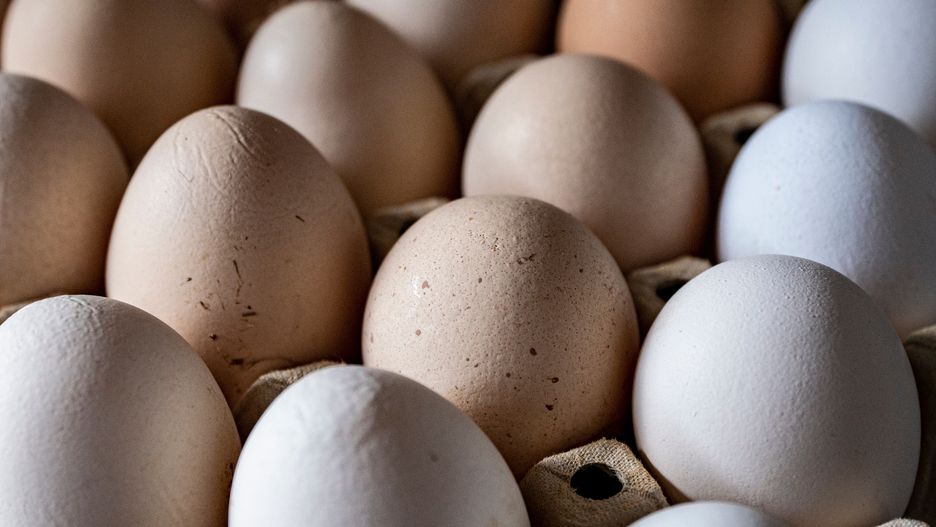 jajka, eggs, food, jedzenie, chicken, zerówki, zdrowie, wege, kolory, j, jaj, braun, kurak, izolowany, naturalny, nieugotowany, wielkanoc, swiezy, zdrowa, muszla, skorupka, gromada, farma, trzy, zwierzak, rolnictwa, bliska