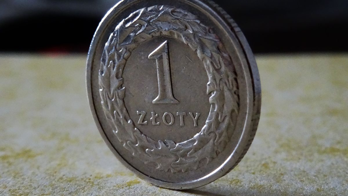 Złoty umocnił się względem dolara i euro