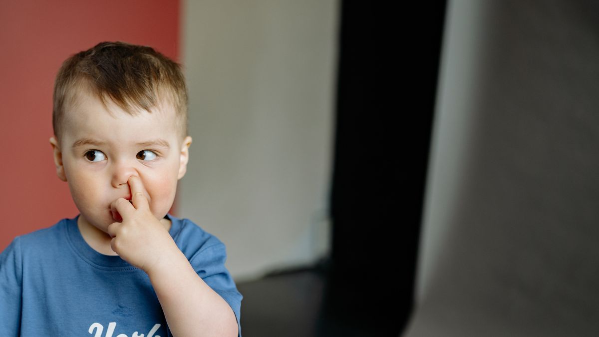 Dłubanie w nosie może być groźne dla naszego układu nerwowego