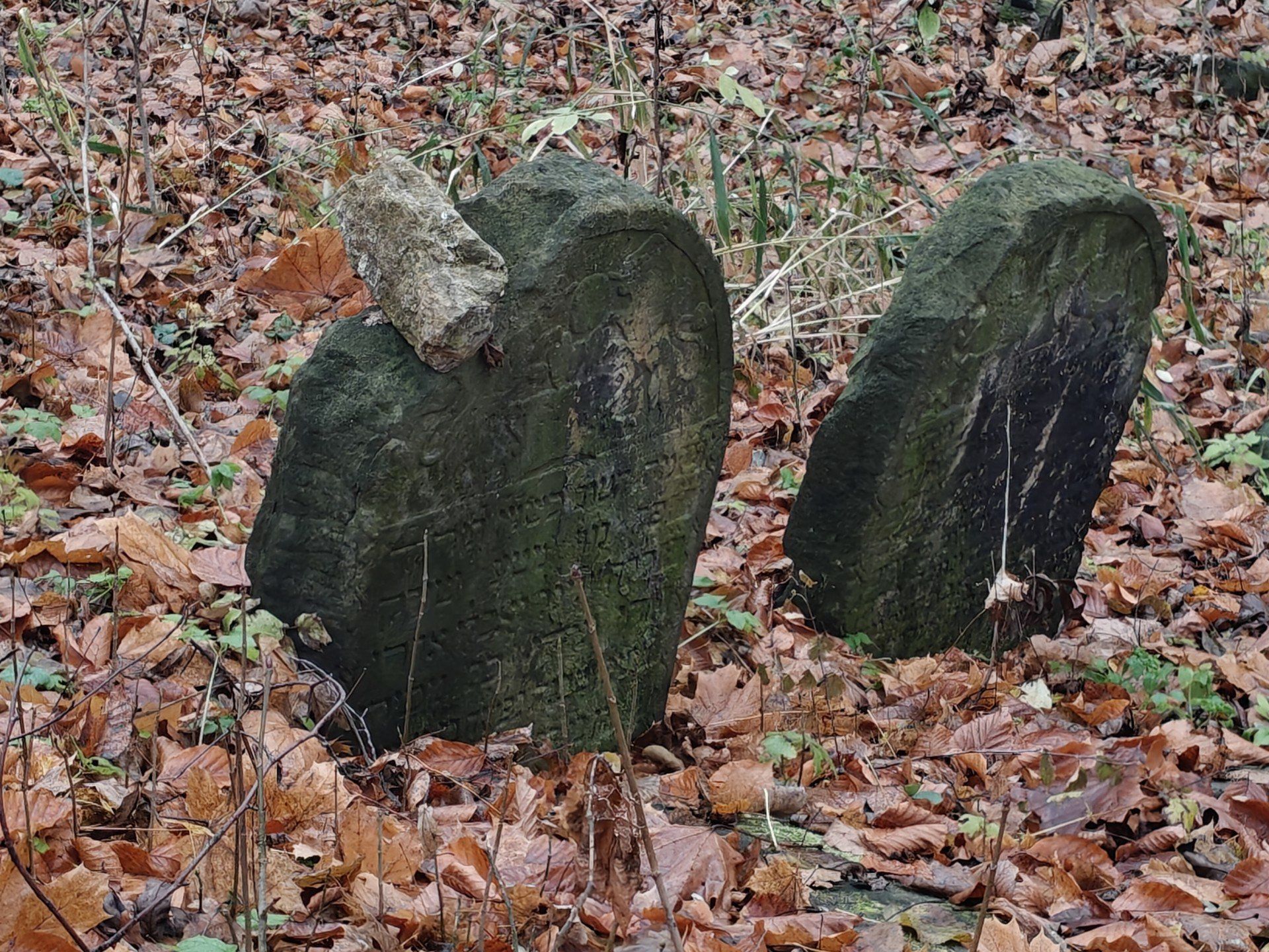 Przewijaj w dół, aby przejść do następnych zdjęć!