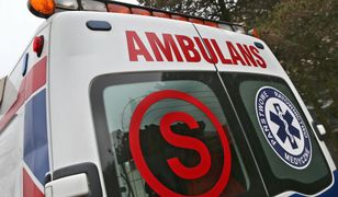 Toruń. Zmarła 3-latka skatowana przez rodziców