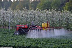 Przemyt pestycydów na granicy z Ukrainą. "Poważne zagrożenie dla środowiska"