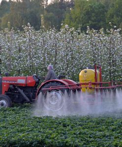 Przemyt pestycydów na granicy z Ukrainą. "Poważne zagrożenie dla środowiska"