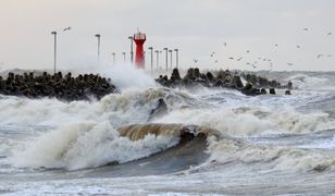 Ratownicy w Sopocie nie wytrzymali. Skrajna głupota turysty
