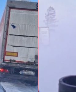 Koszmar na Podkarpaciu. Mieszkańcy uwięzieni w autach, jeden zgubił się w lesie