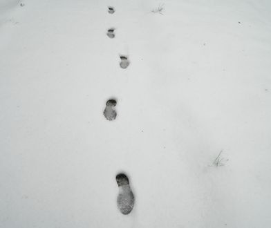 Zdradziły ich ślady na śniegu. Podejrzani w rękach policji