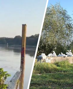 Rośnie poziom Bystrzycy we Wrocławiu