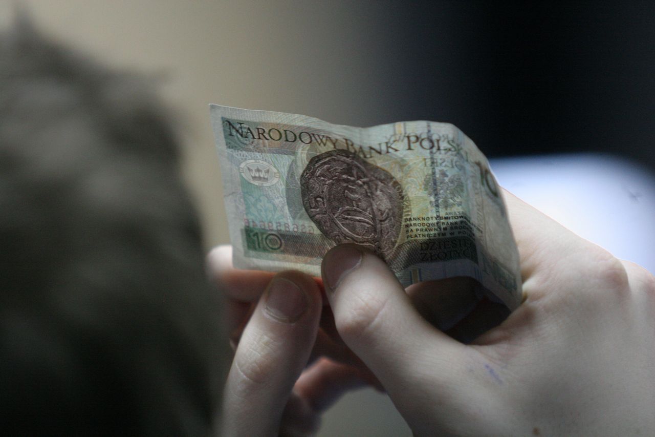 Banknot 10 zł sprzedany za kilka tysięcy? To możliwe. Trzeba sprawdzić numery seryjne