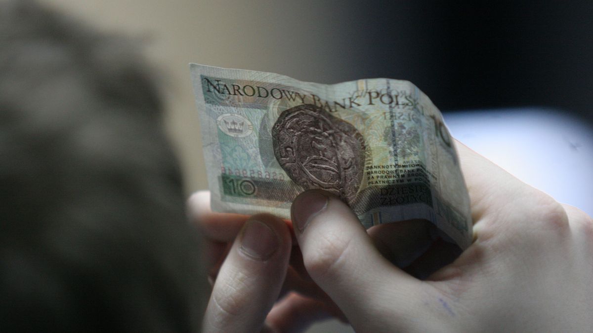 Banknoty 10-złotowe mogą być warte dużo więcej, niż wynosi ich nominał  