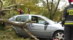 Silne wichury w Polsce. Tysiące interwencji straży, nagrania świadków