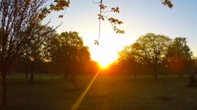 Blondin Park w Ealing