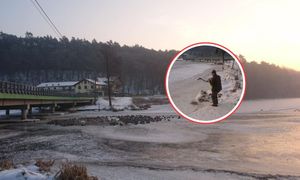 Siedział sam w lesie. Wypatrzyli go leśnicy. Dołączył do innych