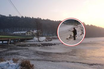 Siedział sam w lesie. Wypatrzyli go leśnicy. Dołączył do innych