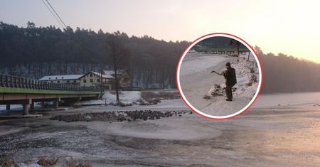Siedział sam w lesie. Wypatrzyli go leśnicy. Dołączył do innych